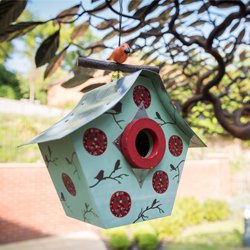 Birdbox