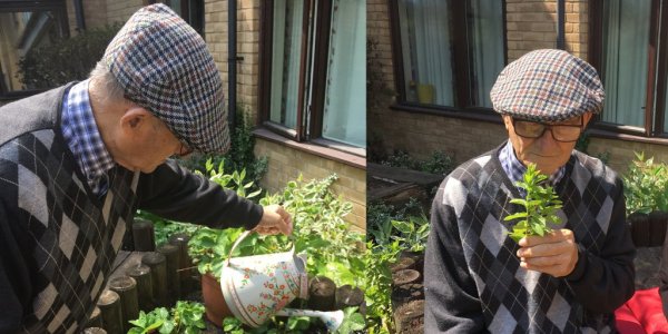 Andreas watering plants
